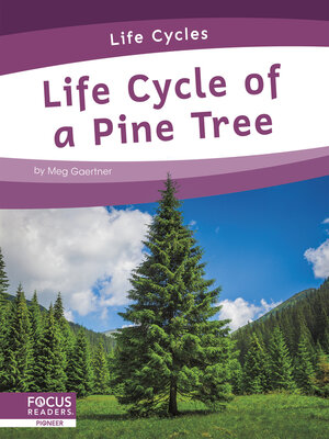 cover image of Life Cycle of a Pine Tree